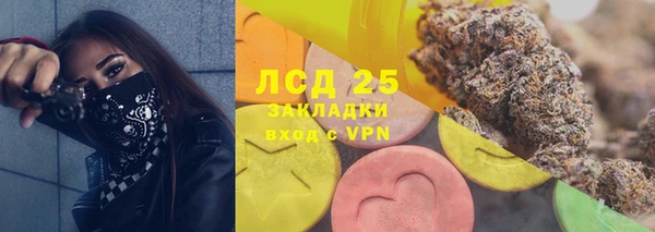 дживик Краснослободск