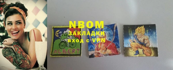 дживик Краснослободск