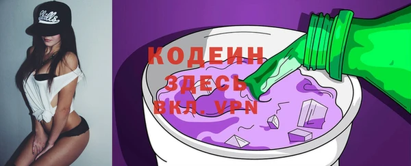 дживик Краснослободск