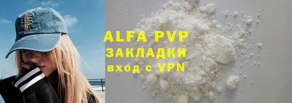 дживик Краснослободск