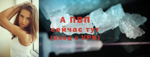 дживик Краснослободск