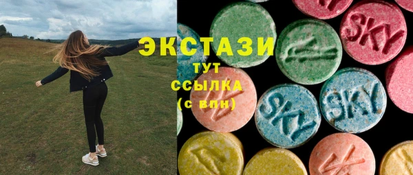 дживик Краснослободск